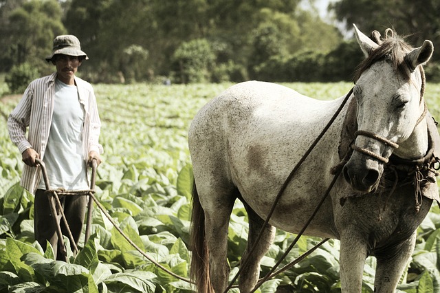 agricultores