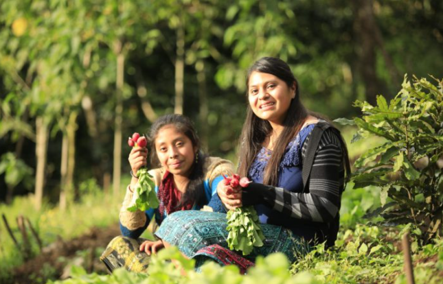 Guatemala avanza en seguridad alimentaria