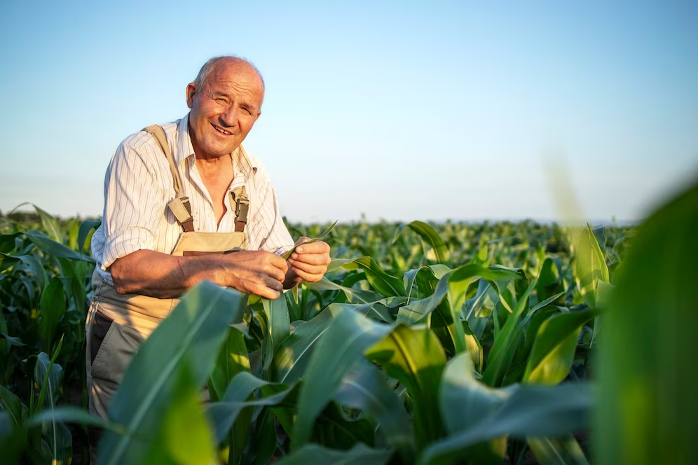 cosechas y la tecnología de la agricultura