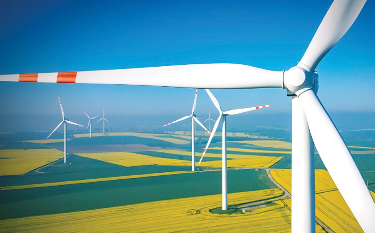 Liderazgo en el sector energético: Claves para el futuro
