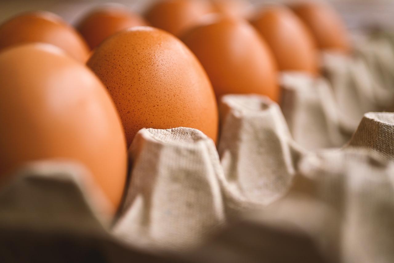 Crea plan de negocios efectivo para el sector de alimentos