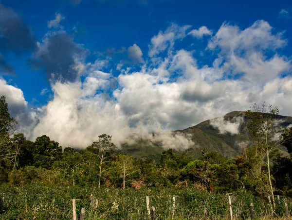 inversiones sustentables en Guatemala