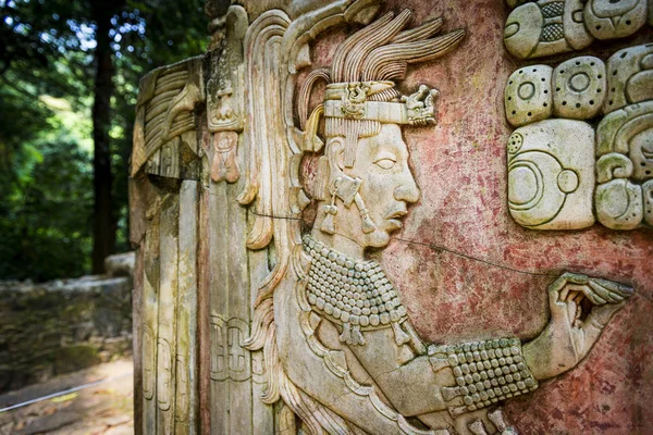 mayas