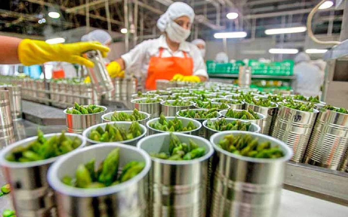 industria-alimentaria