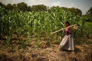 Cómo abordar altas temperaturas y productividad laboral